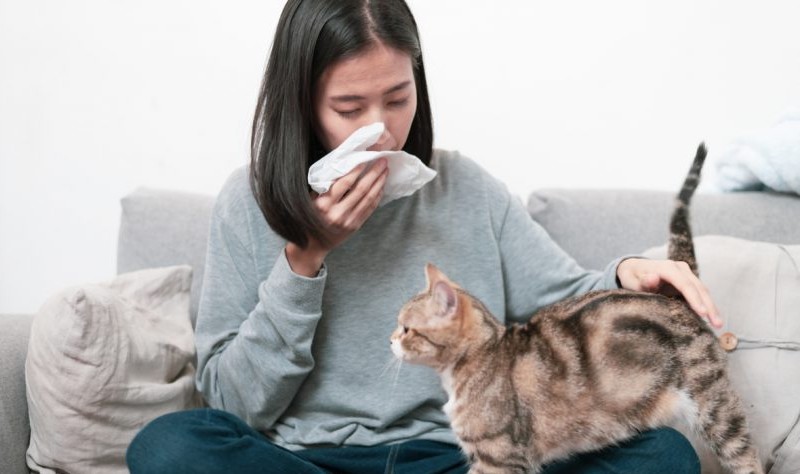 Dealing with Pet Allergies