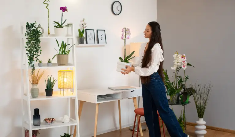 Woman holding a floor pot in her hand and moving towards a cabinet.