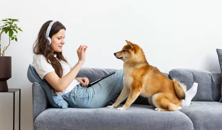 woman playing with her dog on a couch