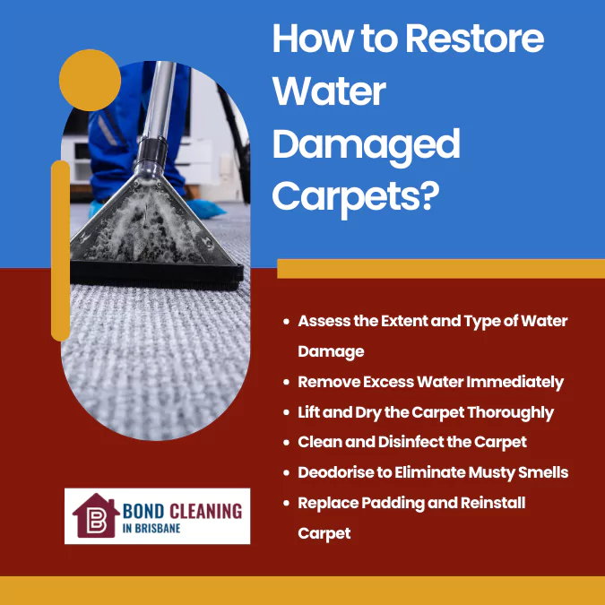 Tips To Restore Water Damaged Carpets