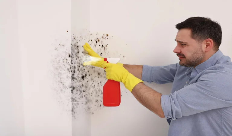 Man in rubber gloves spraying mold remover onto walls in room